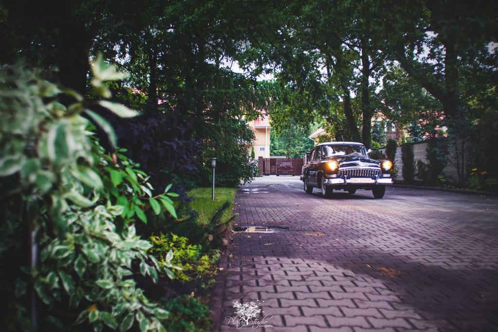 Park Na Wojskiego Bed & Breakfast Marki  Dış mekan fotoğraf